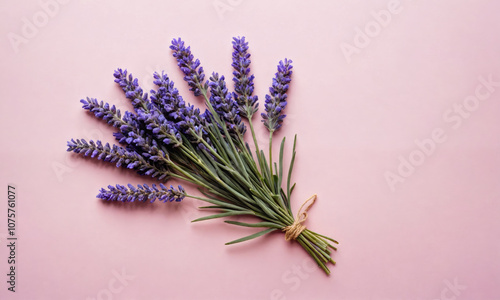 A bouquet of lavender sits on a pink background