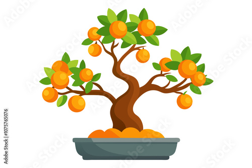 Orange trees isolated on white looks like tangerines or mandarins. It is extremely nice 