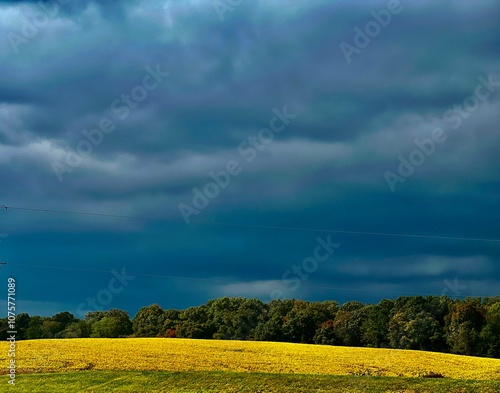 field and blue sky
