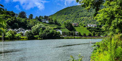 Small town Bullay on the Mosel river. Germany in summer. photo