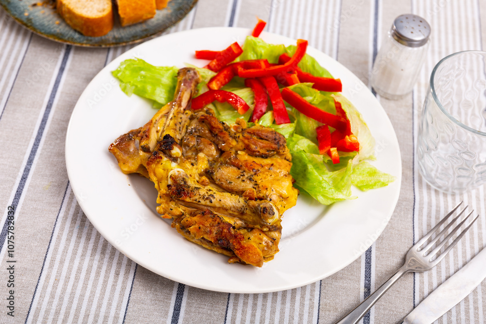 Appetizing roasted chicken pieces served with fresh vegetable salad of lettuce and red bell pepper. Tasty homemade dinner Appetizing roasted chicken pieces served with fresh vegetable salad of lettuce and red bell pepper. Tasty homemade dinner