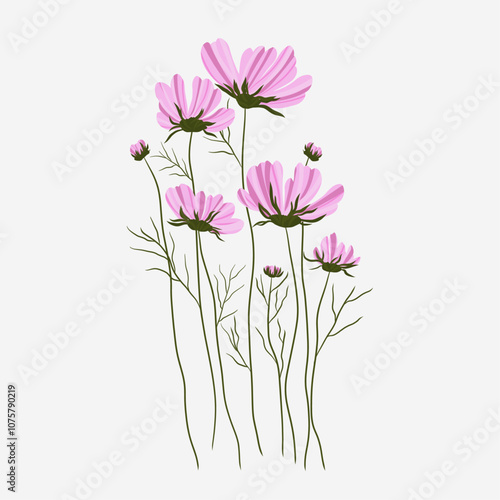 Hand drawn pink blooming set collection flowers bouquet spring flower