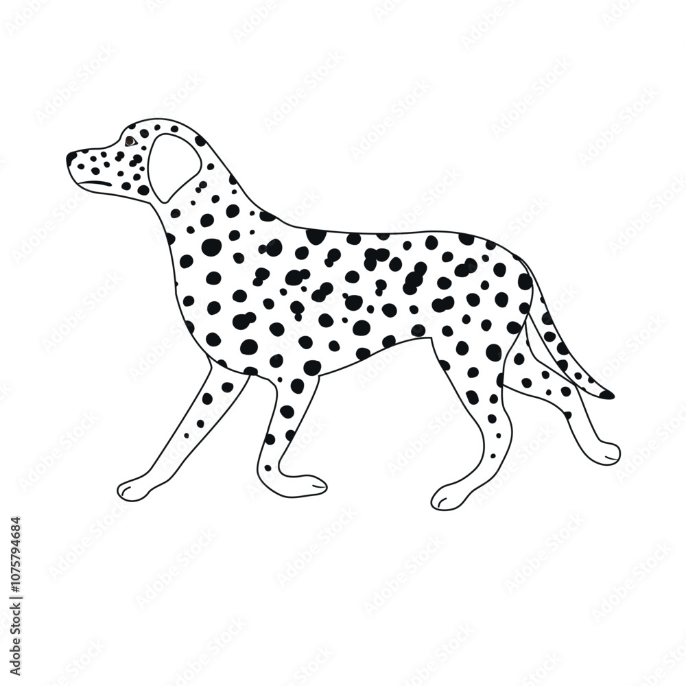 Fototapeta premium Vector flat hand drawn outline Dalmatian dog isolated on white background
