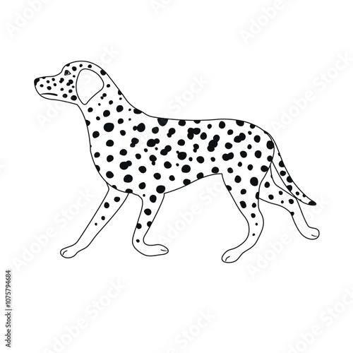 Vector flat hand drawn outline Dalmatian dog isolated on white background