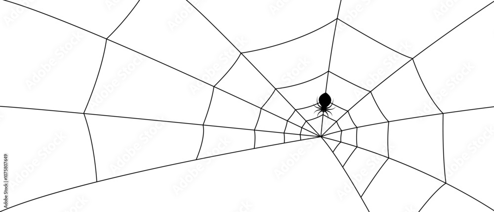 Obraz premium white spider web on black background