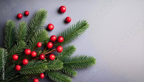 Christmas and new year background with fir branches and fresh holly berries on grey background, copy text space