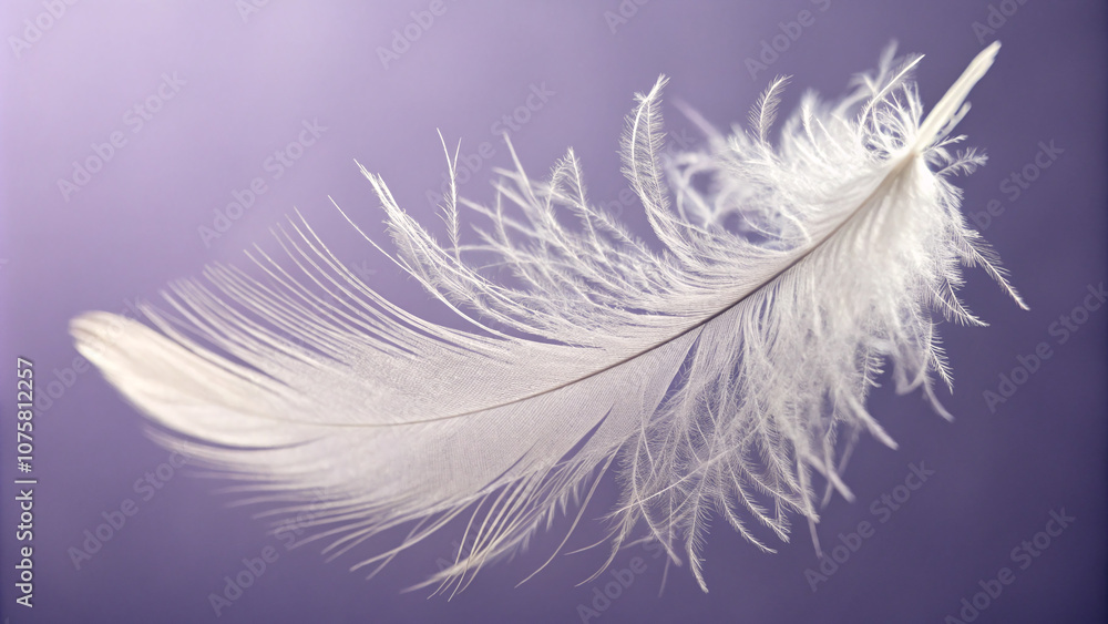 Obraz premium Single White Feather on a Purple Background