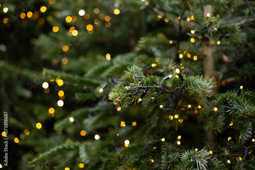 Close up background image of Christmas tree decorated with lights outdoors with fir branches.