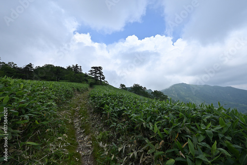 Climbing Mt. Shirasuna, Gunma, Japan photo