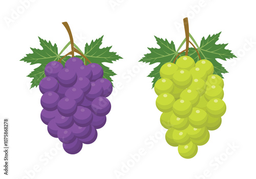 Purple and green grapes fruit with leaf 
