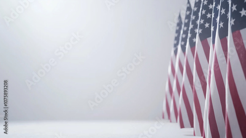 American Flags in Remembran...