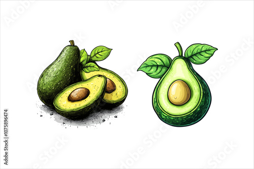 A vector illustration of an avocado in a clipart style. Avocado Vector.