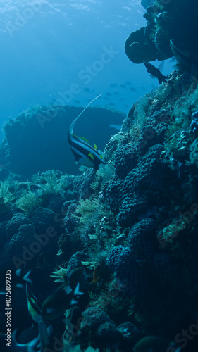 Wallpaper Mural grand blue 33 Torontodigital.ca