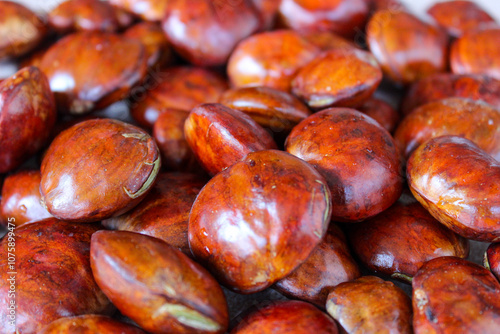 Dogfruit (Archidendron pauciflorum) an Indonesia commonly called djenkol, jengkol or jering. Food Ingredients photo