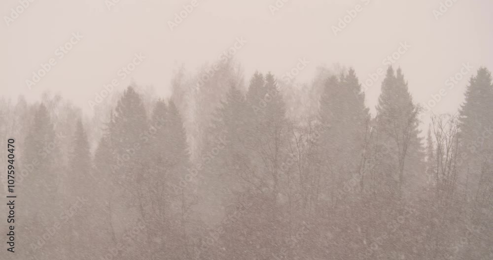 Snowfall blankets a group of distant trees, creating a mesmerizing blur effect. The serene scene captures the essence of winter, evoking a tranquil and peaceful atmosphere Snowfall blankets a group of distant trees, creating a mesmerizing blur effect. The serene scene captures the essence of winter, evoking a tranquil and peaceful atmosphere