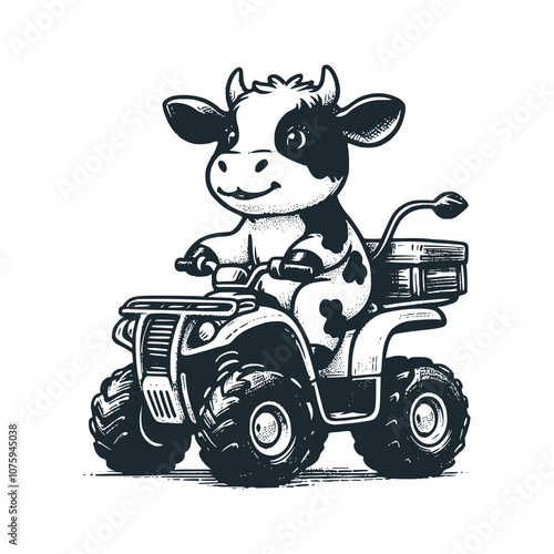 Cow smile on motorbike. Black white vector illustration.