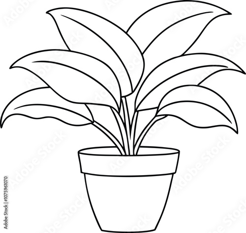 House plant in a pot line art, house plant outline vector 