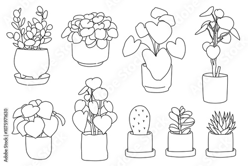 set of plant in pot for house plant, home decor, hand drawn vector illustrations