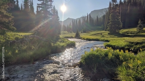 Sunlit River in the Mountains