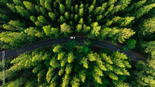 Fototapeta Naklejka Na Ścianę i Meble -  Aerial view of dark green forest road and white electric car Natural landscape and elevated roads Adventure travel and transportation and environmental protection concept