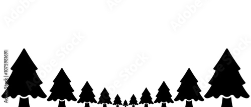 forest conifers cedar pine tree silhouette design vector