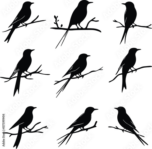 Wallpaper Mural Birds Silhouettes Vector Illustration, Design Flying Birds Silhouette Vector ArtDesign  Torontodigital.ca