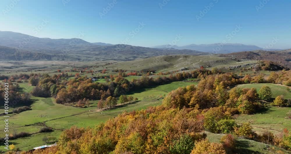 Lush autumn forest sprawls across rolling hills, displaying a mesmerizing blend of colors as captured from a drone high above Lush autumn forest sprawls across rolling hills, displaying a mesmerizing blend of colors as captured from a drone high above
