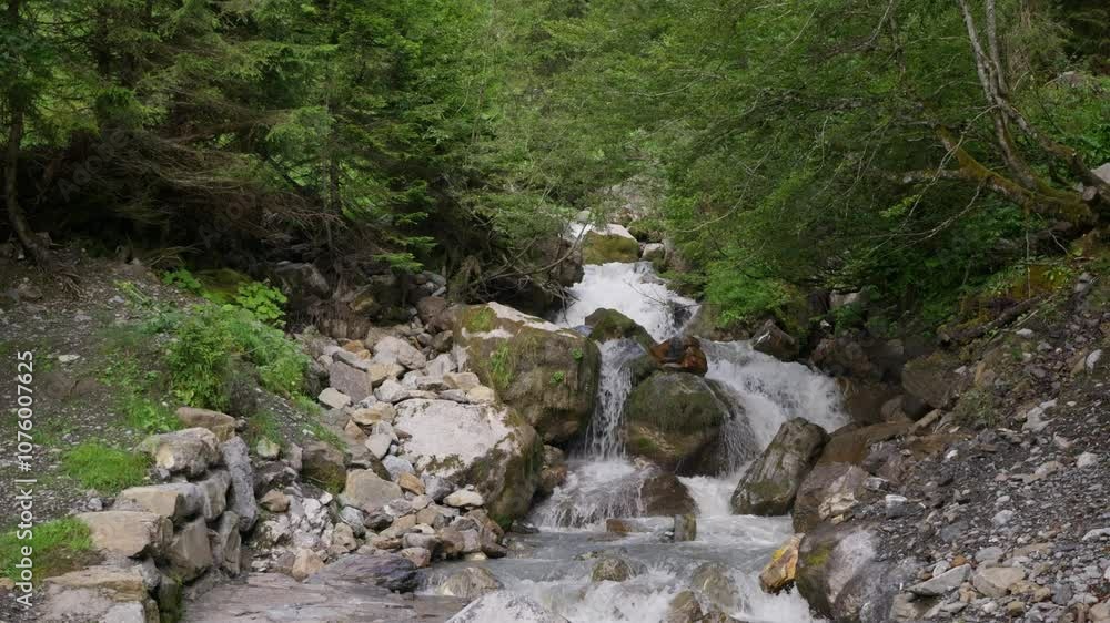 Mountain stream flowing over rocks in lush forest surrounded by greenery and rugged terrain Mountain stream flowing over rocks in lush forest surrounded by greenery and rugged terrain