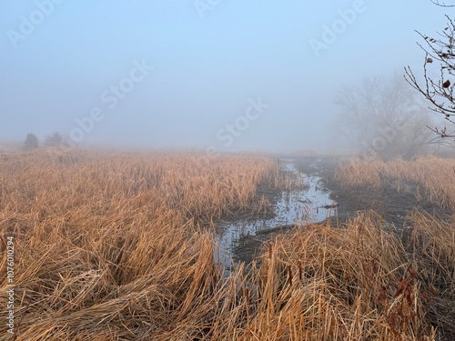 Crown Hill Park, Wheatridge, CO in the fog