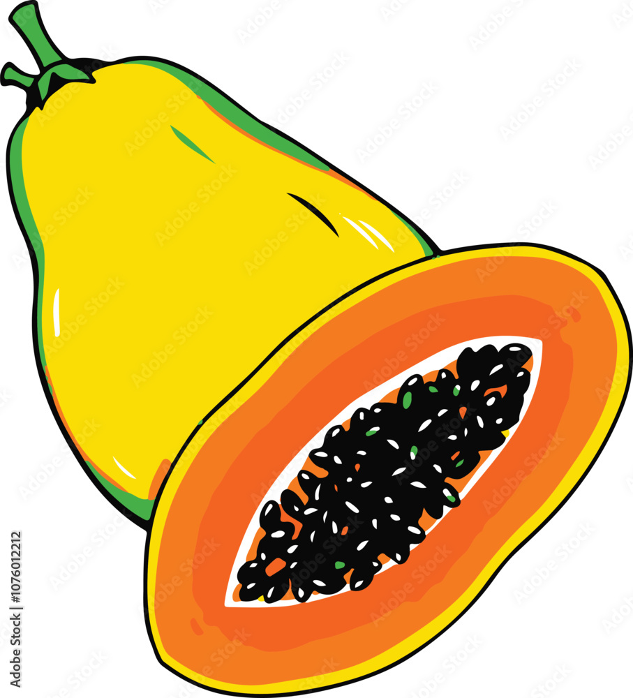 Papaya Vector illustration healthy fruit Papaya Vector illustration healthy fruit
