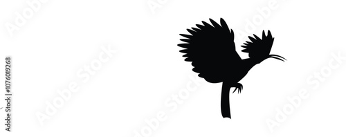 Eurasian Hoopoe Bird Silhouette And Vector Illustration. 