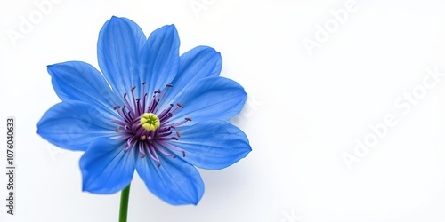 Blue flower with intricate details against a plain white canvas, showcasing its unique beauty, floral patterns, detailed, artistic