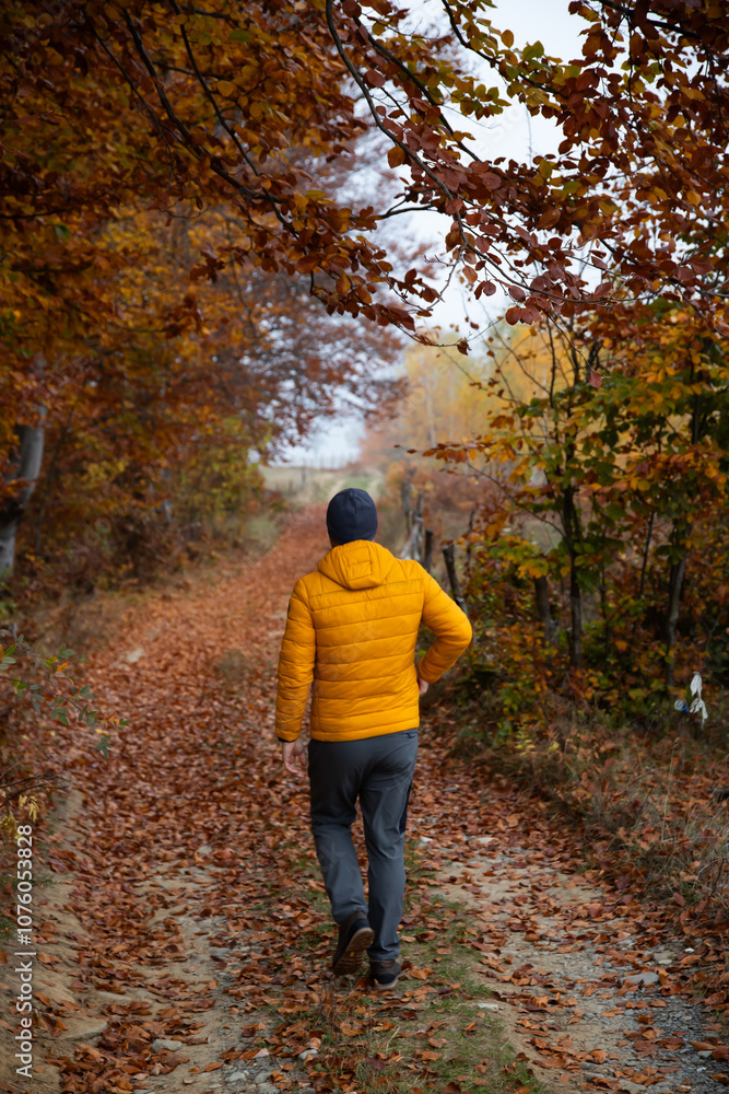 Man walking in a foggy autumn landscape Man walking in a foggy autumn landscape