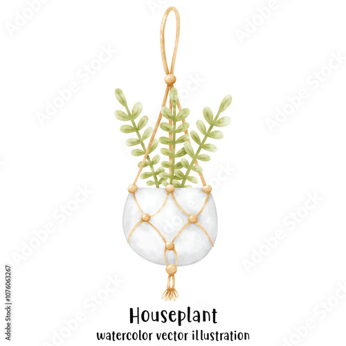 Plant, Hanging plant, hanging house plant pot. Home interior flowerpots. Indoor various macrame houseplants. Home office garden hanging plants.