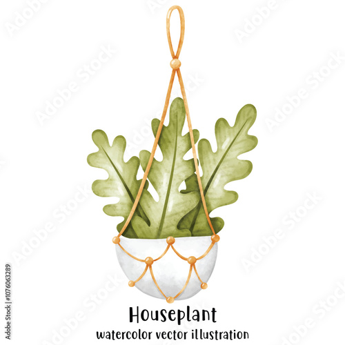 Plant, Hanging plant, hanging house plant pot. Home interior flowerpots. Indoor various macrame houseplants. Home office garden hanging plants.