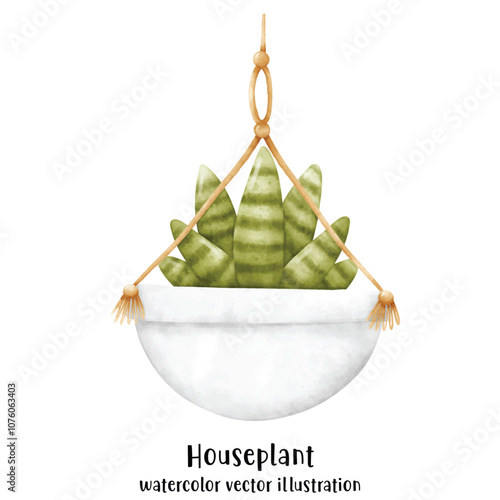 Plant, Hanging plant, hanging house plant pot. Home interior flowerpots. Indoor various macrame houseplants. Home office garden hanging plants.