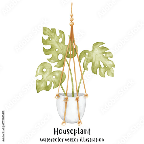 Plant, Hanging plant, hanging house plant pot. Home interior flowerpots. Indoor various macrame houseplants. Home office garden hanging plants.