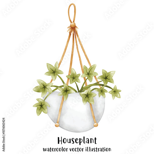 Plant, Hanging plant, hanging house plant pot. Home interior flowerpots. Indoor various macrame houseplants. Home office garden hanging plants.