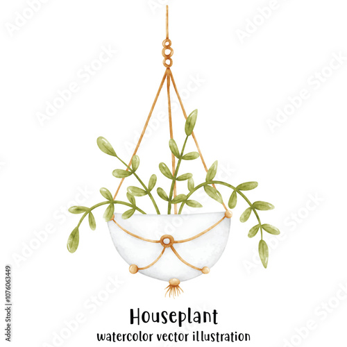 Plant, Hanging plant, hanging house plant pot. Home interior flowerpots. Indoor various macrame houseplants. Home office garden hanging plants.