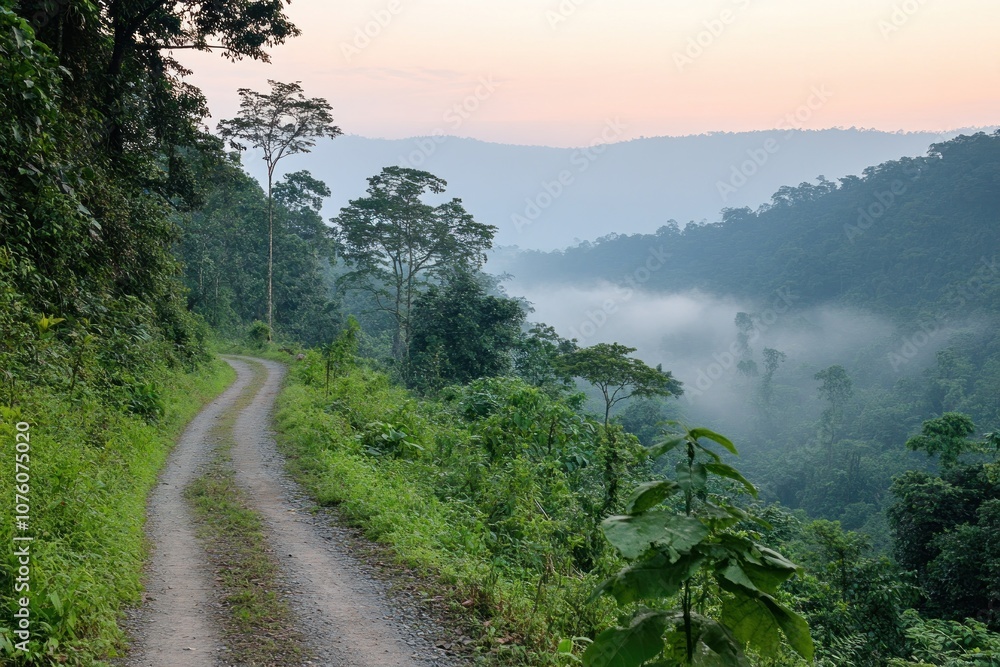 A serene dirt road winding through lush greenery in a misty mountainous landscape. A serene dirt road winding through lush greenery in a misty mountainous landscape.