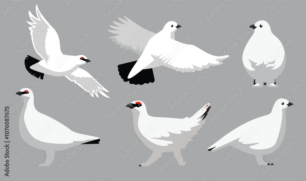 Αυτοκόλλητο Svalbard Rock Ptarmigan White Winter Plumage Bird Flying Various Poses Cartoon V