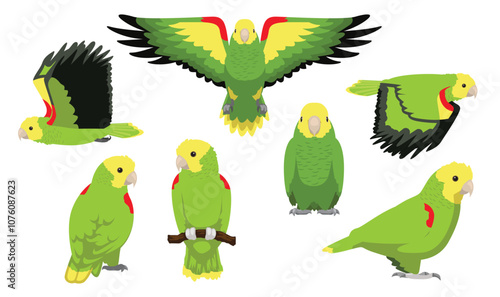 Double Yellow-Headed Parrot Bird Flying Various Poses Cartoon Vector Character
