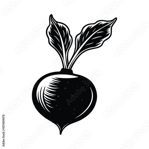Beetroot silhouette hand drawn simple icons