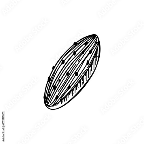 Chocolate candy. Vector illustration isolated on white background. Black and white sketched style.