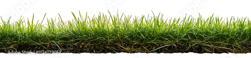 Fresh short green grass isolated against a flat background