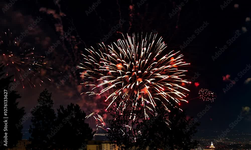 spectacular firework display lighting up the night sky spectacular firework display lighting up the night sky