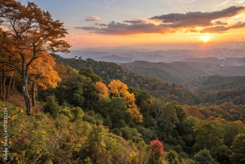 The trees of Tung Bua Tong forest are set ablaze with warm colors as sunset approaches in the distance, tree, weather, natural