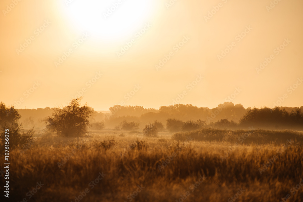 fog over the field at dawn in autumn fog over the field at dawn in autumn