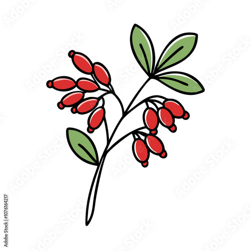barberry icon, fruits vector icon - simple vector illustration of a barberry, in a simple and clean style, suitable for food and health themes. fruits flat illustration.