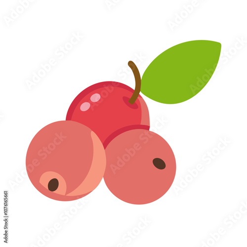 Wallpaper Mural camu camu icon, fruits vector icon - simple vector illustration of a camu camu, in a simple and clean style, suitable for food and health themes. fruits flat illustration. Torontodigital.ca